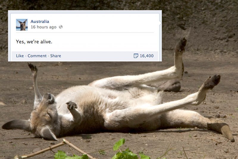 Australia na Facebooku przebiła wszystkich