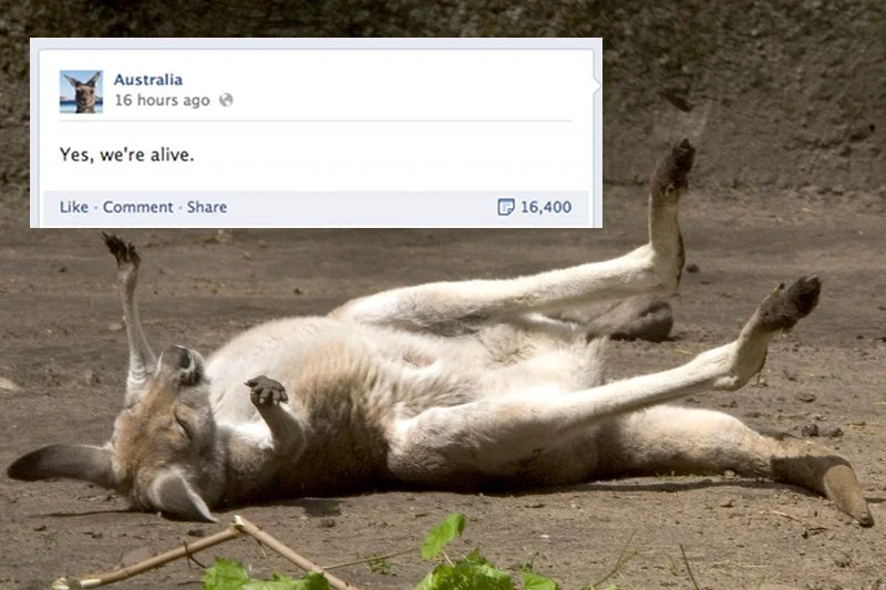 Australia na Facebooku przebiła wszystkich