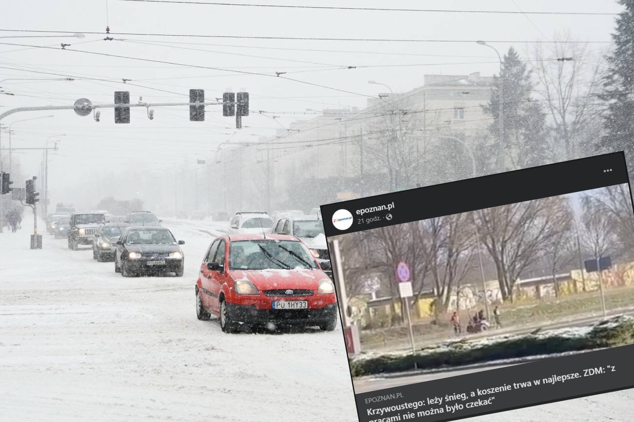 Poznań – zdjęcie drogowców obiega sieć. Niewiarygodne, co robią