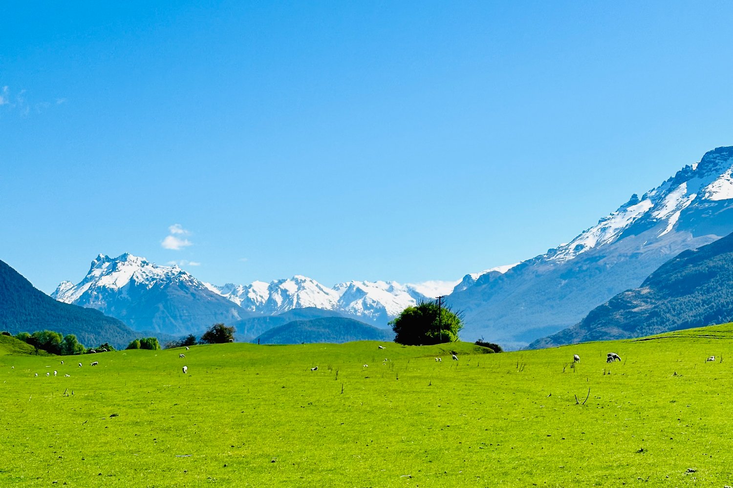 Nowa Zelandia jest tak piękna, że czlowiek zastanawia się, czy jest prawdziwa.