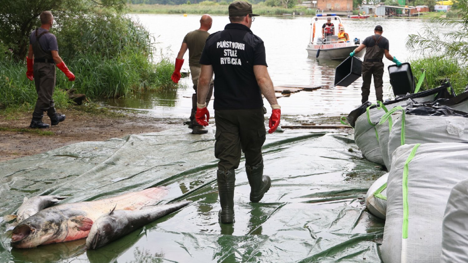 "Katastrofa na Odrze jest trudna". Rząd interweniuje nad rzeką.