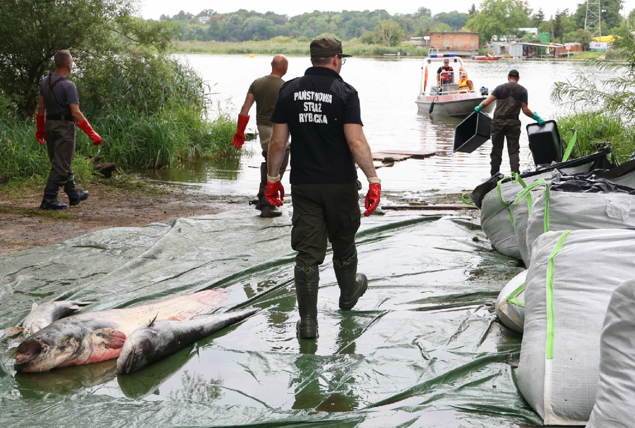 "Katastrofa na Odrze jest trudna". Rząd interweniuje nad rzeką.