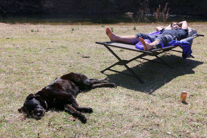 Taka drzemka może być zbawienna! Ale lepiej wybrać bardziej zacienione miejsce niż pełne słońce...