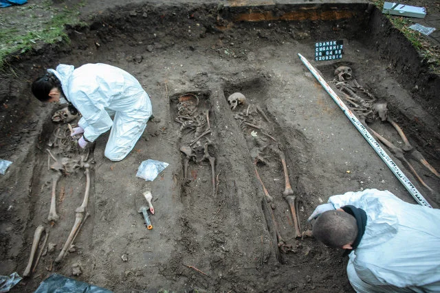 Prace archeologiczne na Cmentarzu Garnizonowym w Gdańsku.