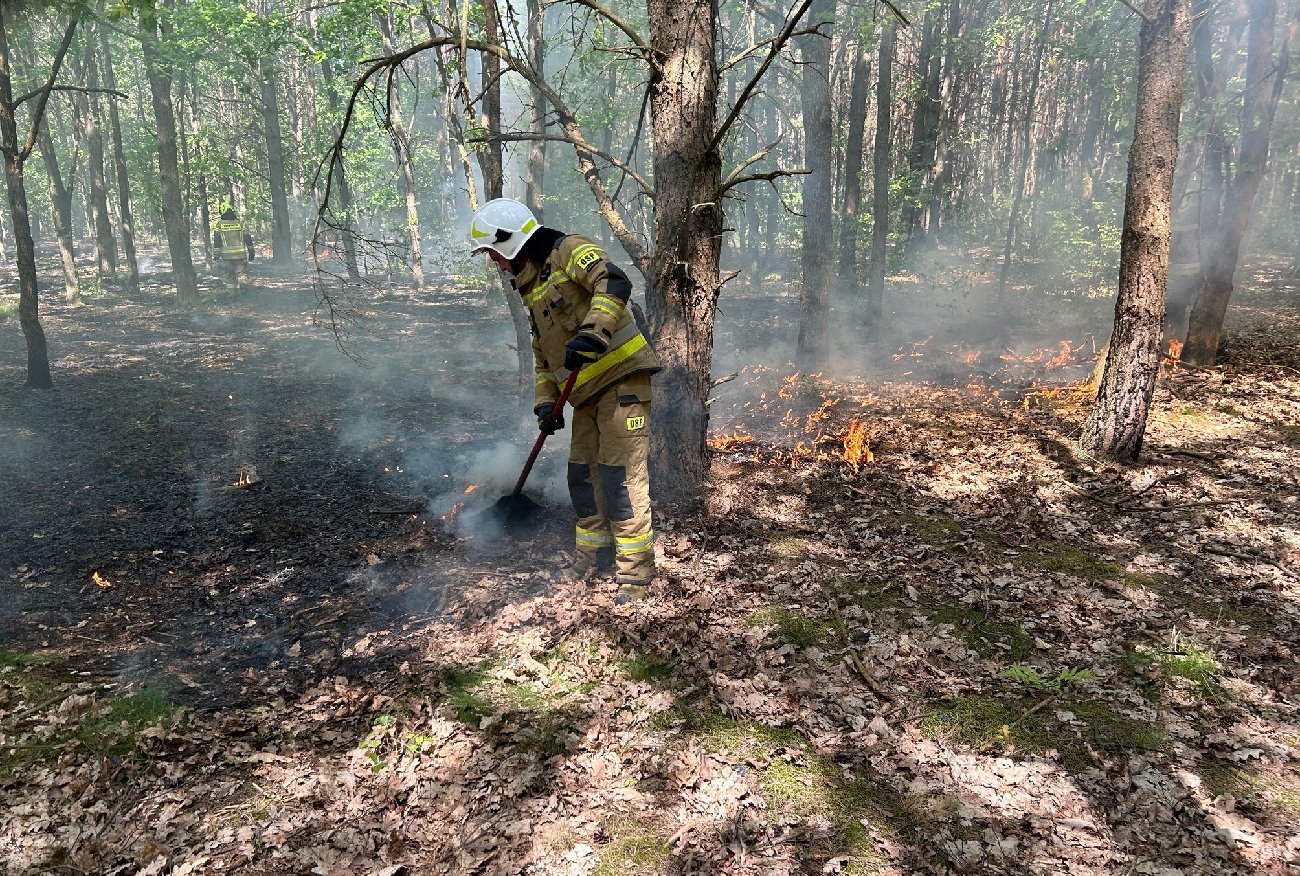 To kolejny już pożar na Mazowszu. Tym razem płonął las w parku narodowym pod Warszawą.