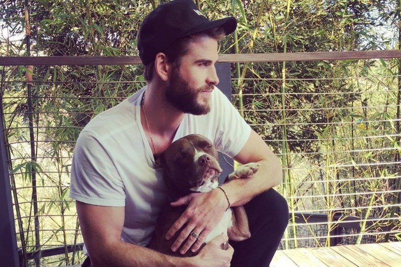 Sławę 28-letniemu aktorowi przyniosła rola w filmie "Igrzyska śmierci"