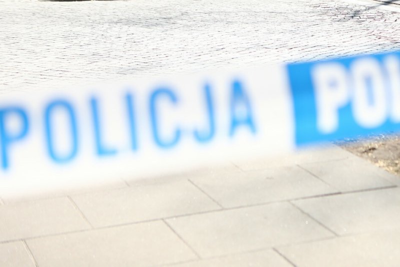 Noworodek z zamrażarki został zadźgany. Dziecko urodziło się żywe