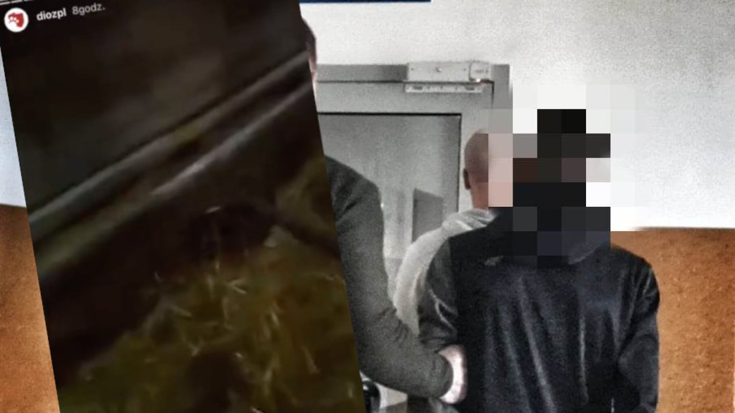 17-latek kopał i dźgał widłami psa.