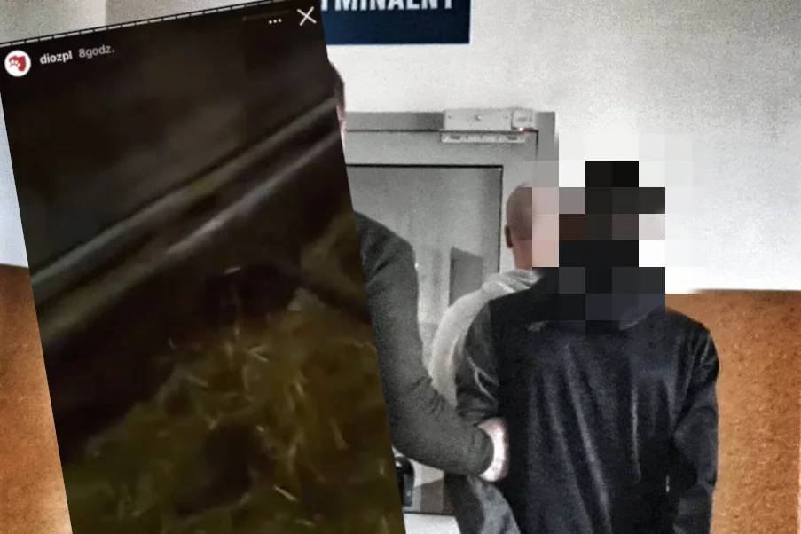 17-latek kopał i dźgał widłami psa.