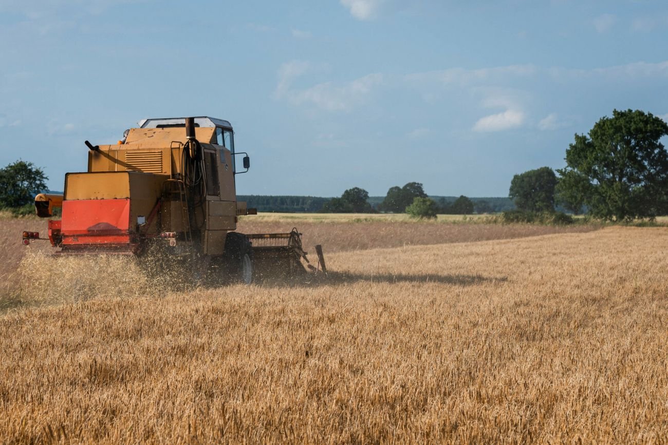 Rolnicy edukują mieszczuchów na TikToku