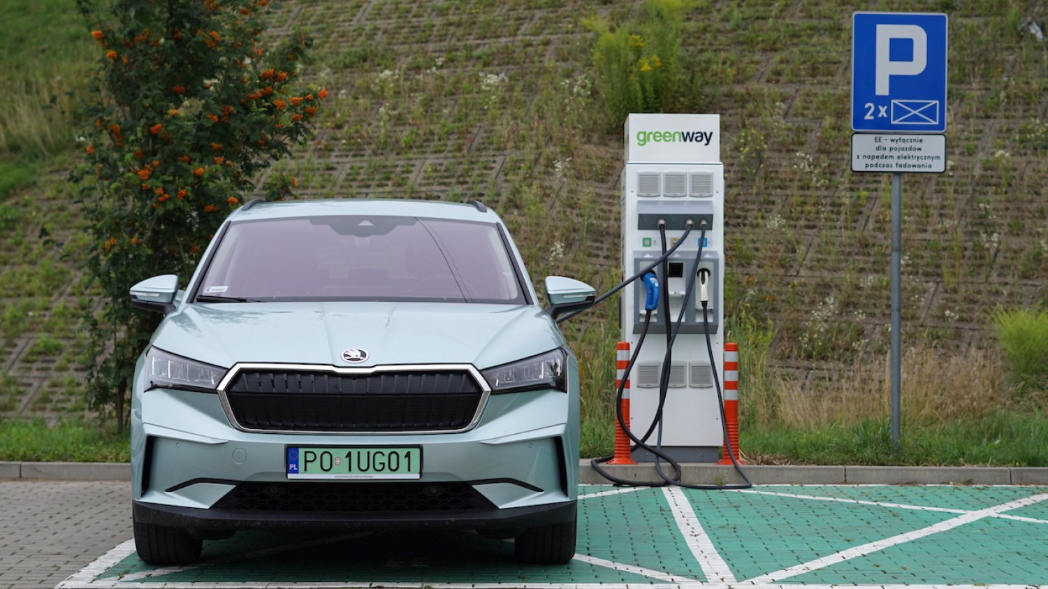 Skoda Enyaq to pierwszy elektryk czeskiego producenta. Z czasem ma szansę przekonać Polaków do elektromobilności.