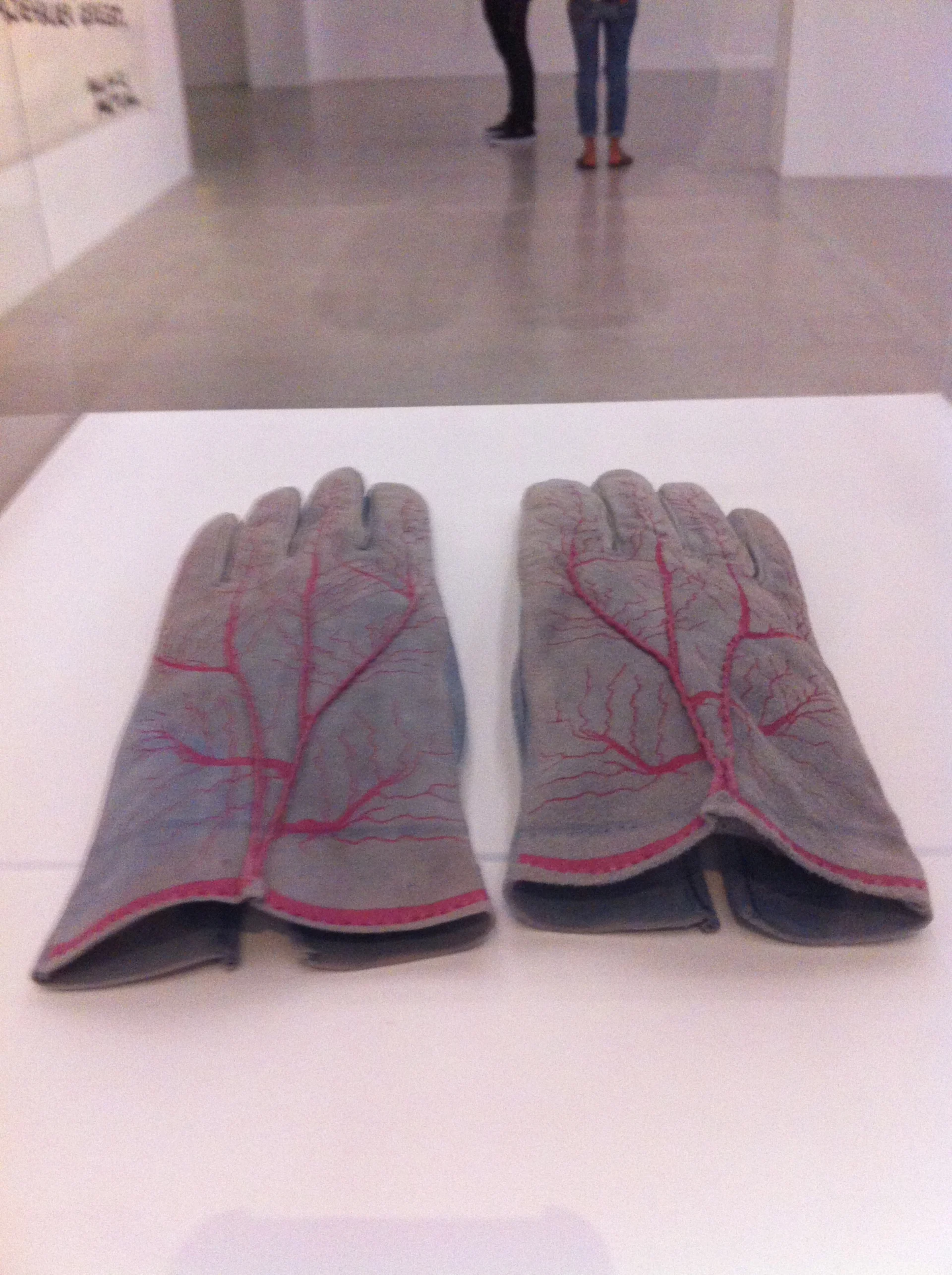MUMOK: Meret Oppenheim, Handschuh,1985