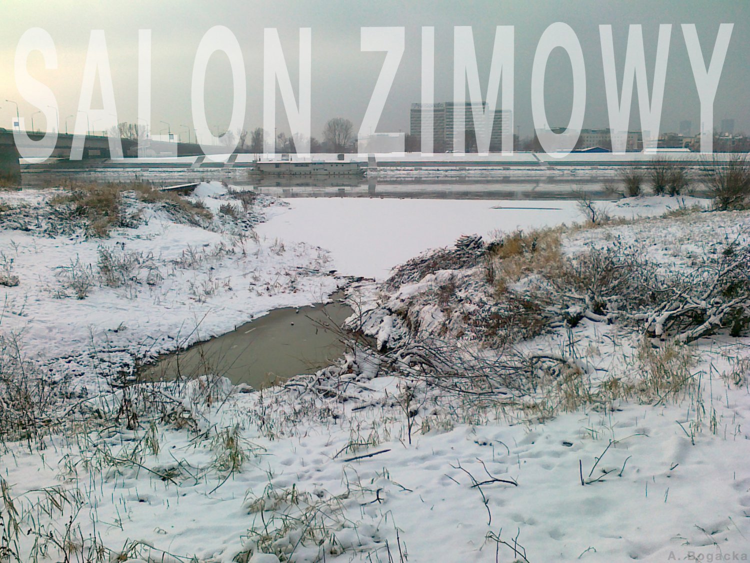 . . . . . . . . . . .