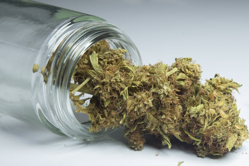 – Potrzebujemy dawców, którzy są stabilni, a trudno tak ocenić tych, którzy używają marihuany – uważa szefowa Fundacji Przeciwko Leukemii.