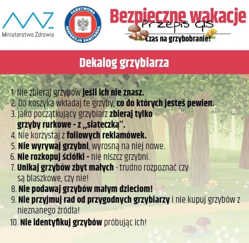 Na czym polega tzw. dekalog grzybiarza? Poznajcie 10 zasad, dzięki którym wg Głównego Inspektoratu Sanitarnego można ograniczyć ryzyko zatrucia grzybami! Dekalog grzybiarza wg Głównego Inspektoratu Sanitarnego (GIS).