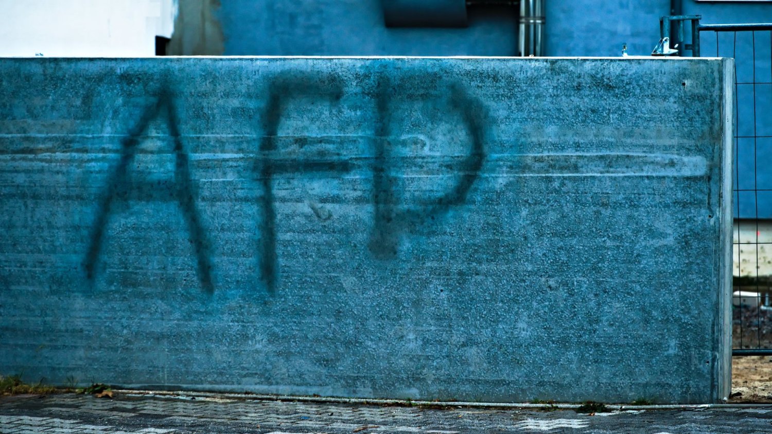 AfD kłóci się o Rosję i Putina. Zaczęło się od słów szefa niemieckiej partii AfD