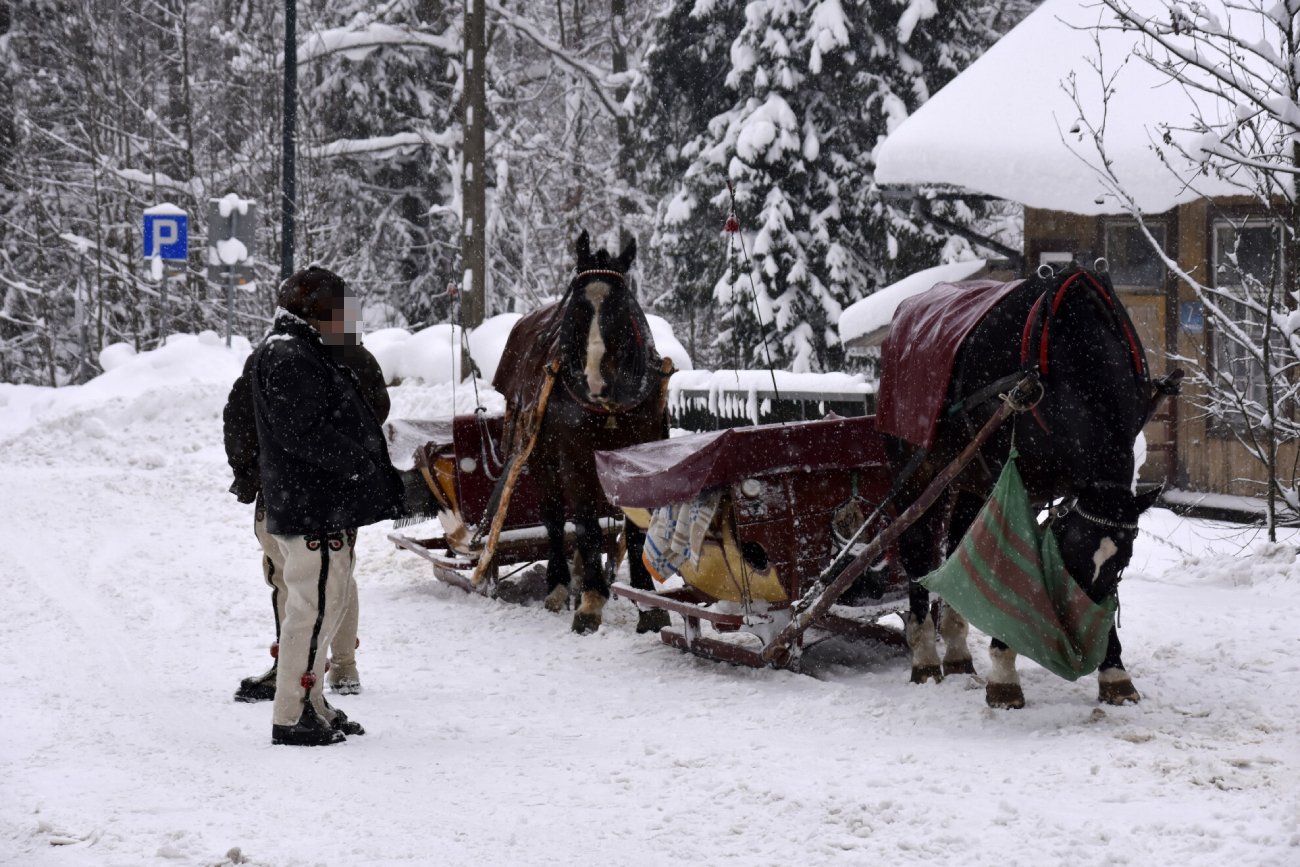 Końskie odchody pod Wielką Krokwią. Końskie odchody pod Wielką Krokwią.