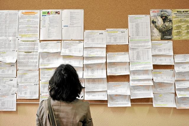 Szukając pracy, niektóre oferty lepiej omijać szerokim łukiem. Na zdjęciu: Tablica z ogłoszeniami w Powiatowym Urzędzie Pracy we Wrocławiu.