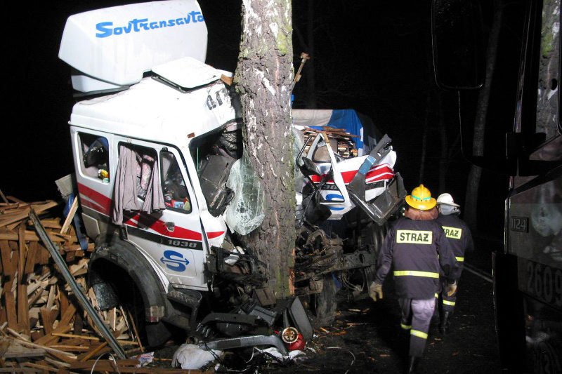 Tragiczny wypadek w Klamrach pod Chełmnem, w którym zginęło siedem osób, wznowił dyskusję o konieczności wycinania przydrożnych drzew