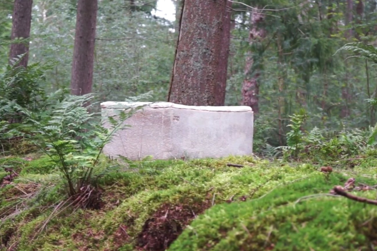 "Żywe trumny" przyszłością ekologicznego pochówku? Rozkładają się w zaledwie 45 dni