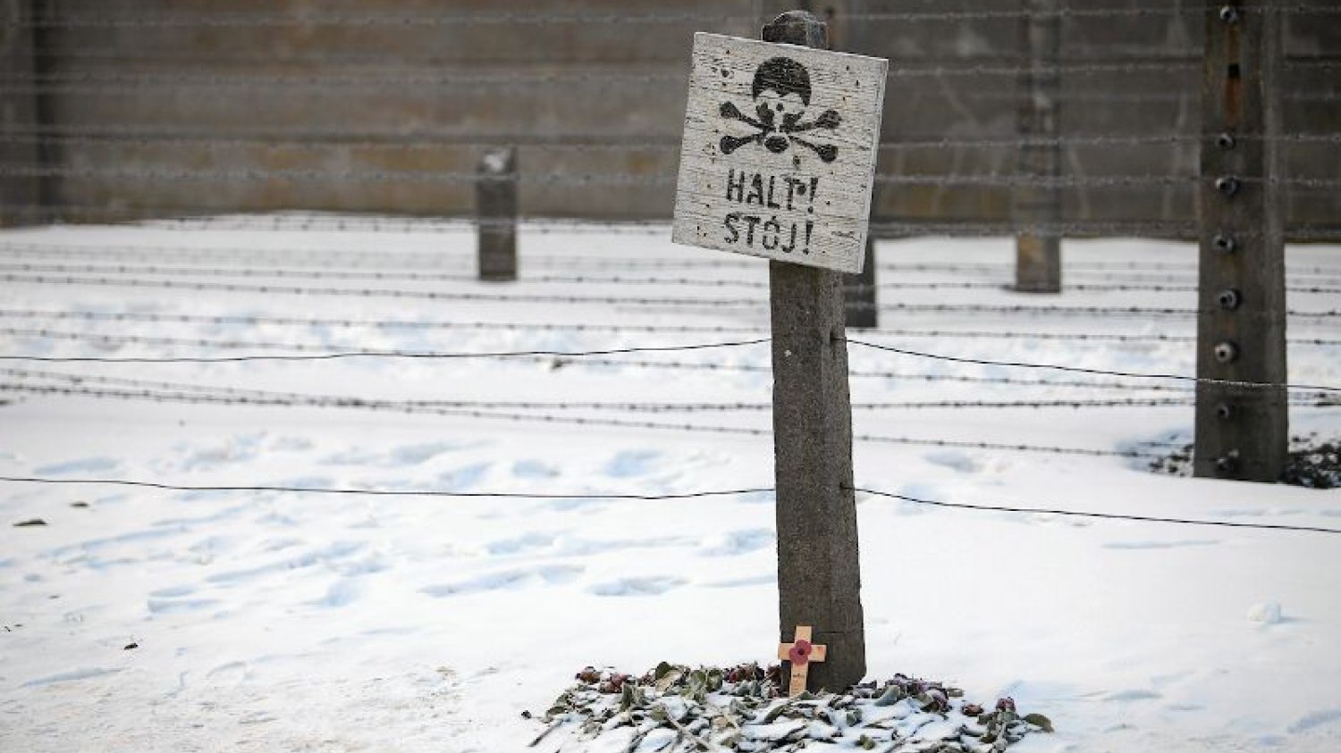 Zdjęcie wykonane podczas obchów 72. rocznicy wyzwolenia byłego nazistowskiego obozu zagłady  Auschwitz