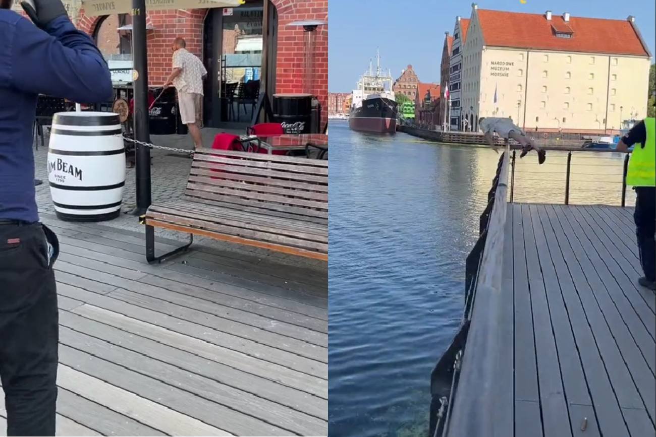 Gdańsk. Pobudzony mężczyzna zaczął uciekać przed policją.