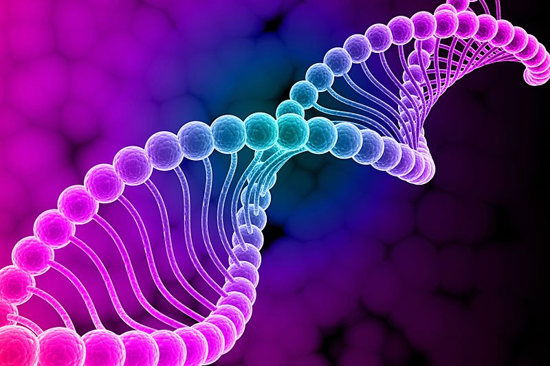 Ludzkie geny nie mogą być opatentowane - uznał amerykański Sąd Najwyższy.