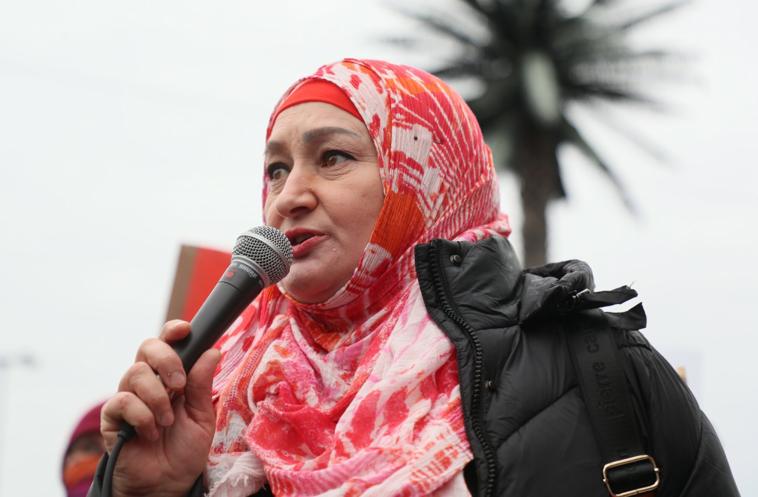 TVP musi przeprosić Kheidi Alievę.