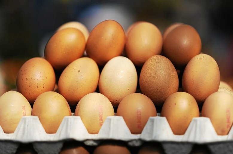 Jaja z salmonellą enteritidis trafiły do sklepów