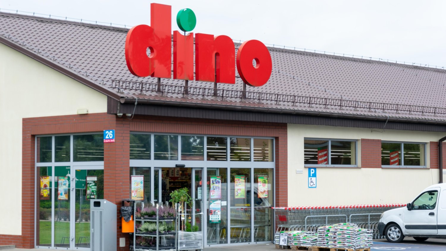 Market Dino wyprzedaje rośliny przed sklepem. Drzewka owocowe za 1,60 zł