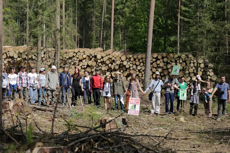 Ekolodzy bronią Puszczy Białowieskiej. Tymczasem leśnicy oskarżają, jednego z aktywistów o napaść.