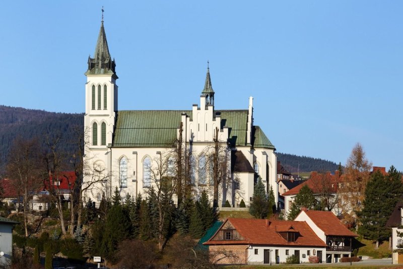 Tłum na bierzmowaniu w Mszanie Dolnej. Proboszcz dostał 500 zł mandatu