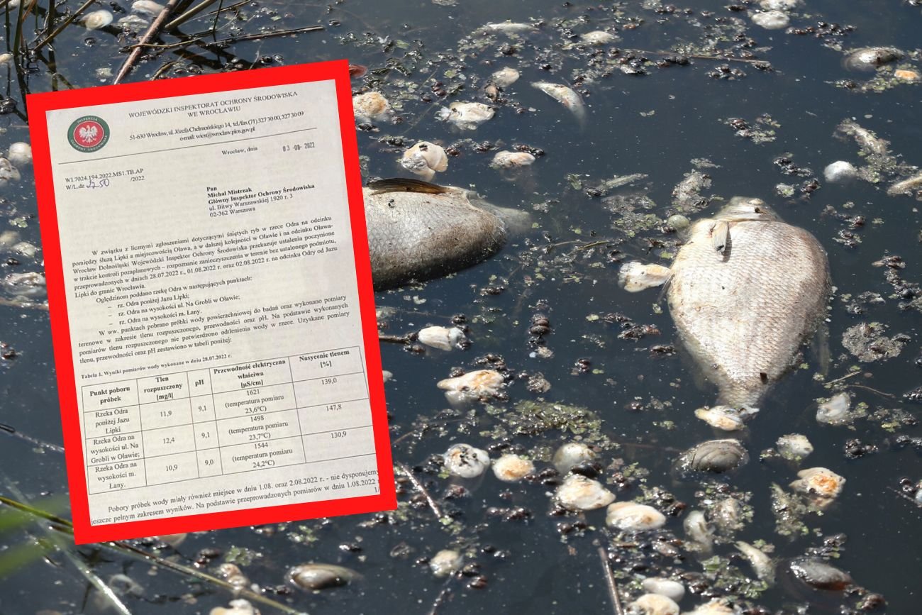 Pismo do GIOŚ przekazywali inspektorzy Ochrony Środowiska z Wrocławia.