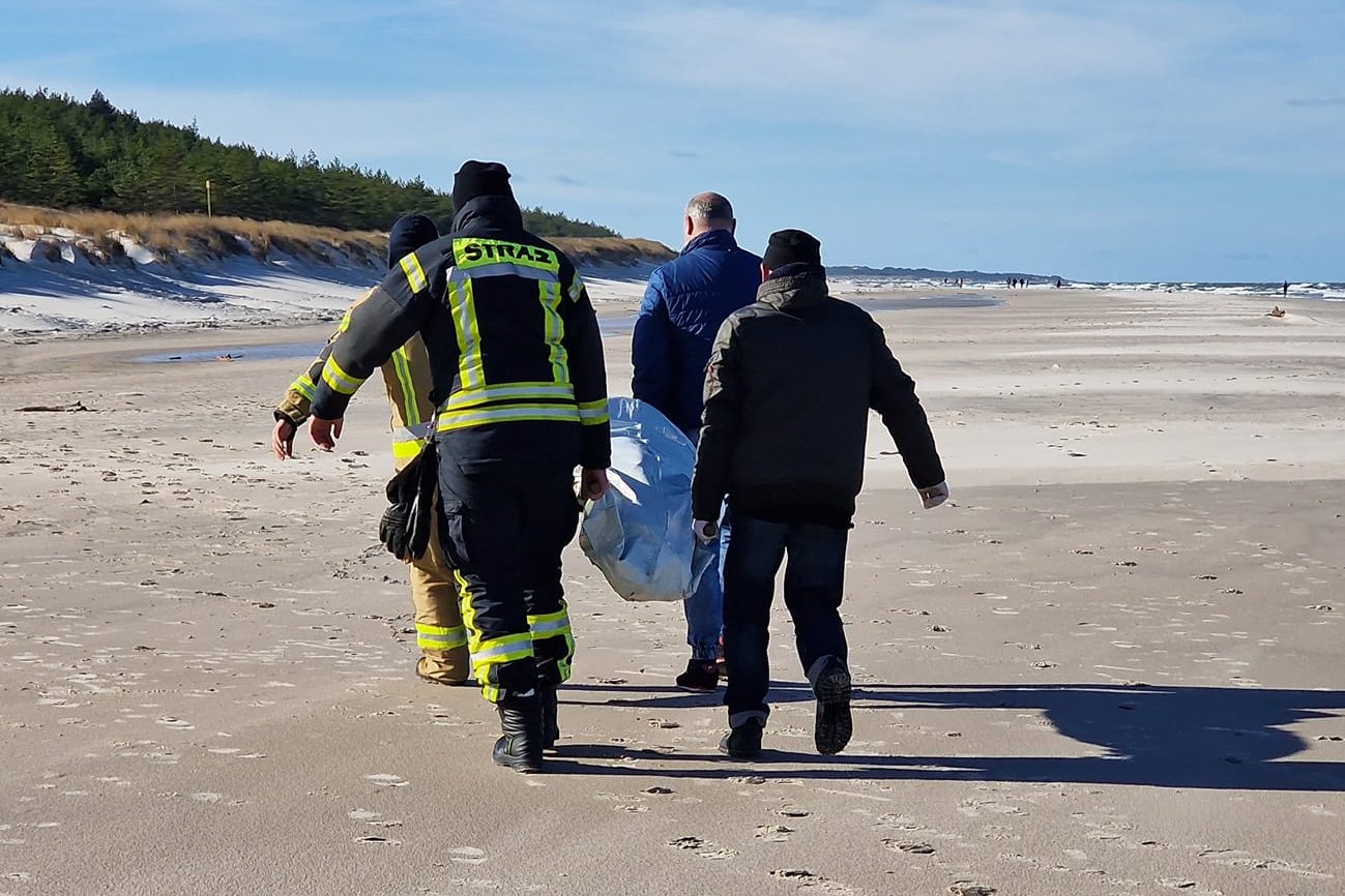 Akcja służb na plaży w Łebie.