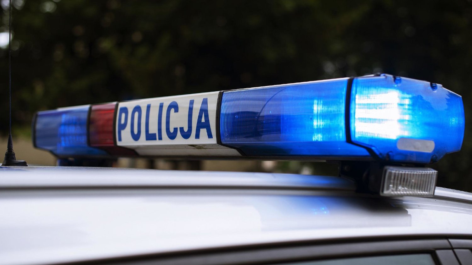 Policjanci zastrzelili agresywnego psa