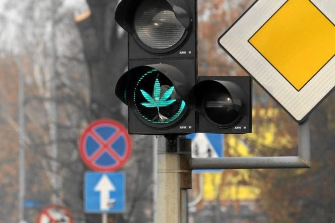 Wrocław, liść konopi na świetle sygnalizatora przy ulicy Borowskiej. Akcja zwolenników legalizacji marihuany