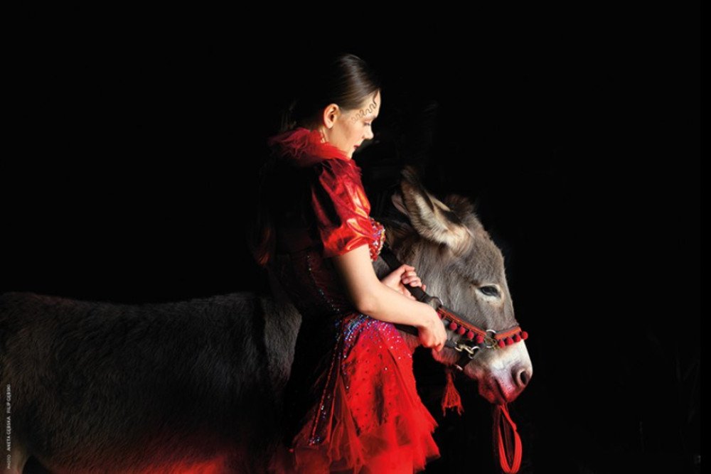 "IO" Jerzy Skolimowski, Oscary Kadr z "IO" Jerzego Skolimowskiego