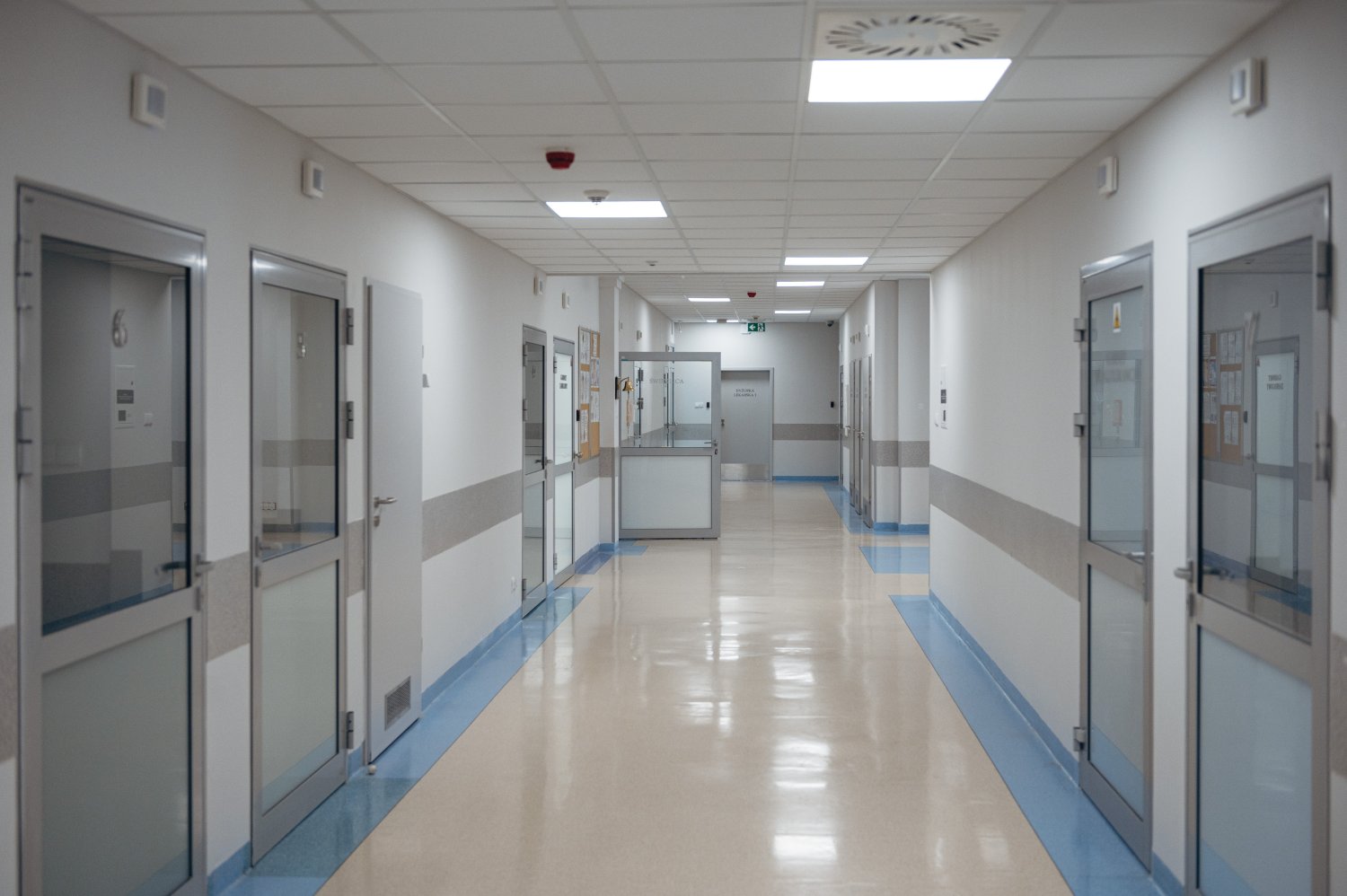 Groźna bakteria Ehec. Kolejne zachorowania, oto jak rozpoznać objawy
