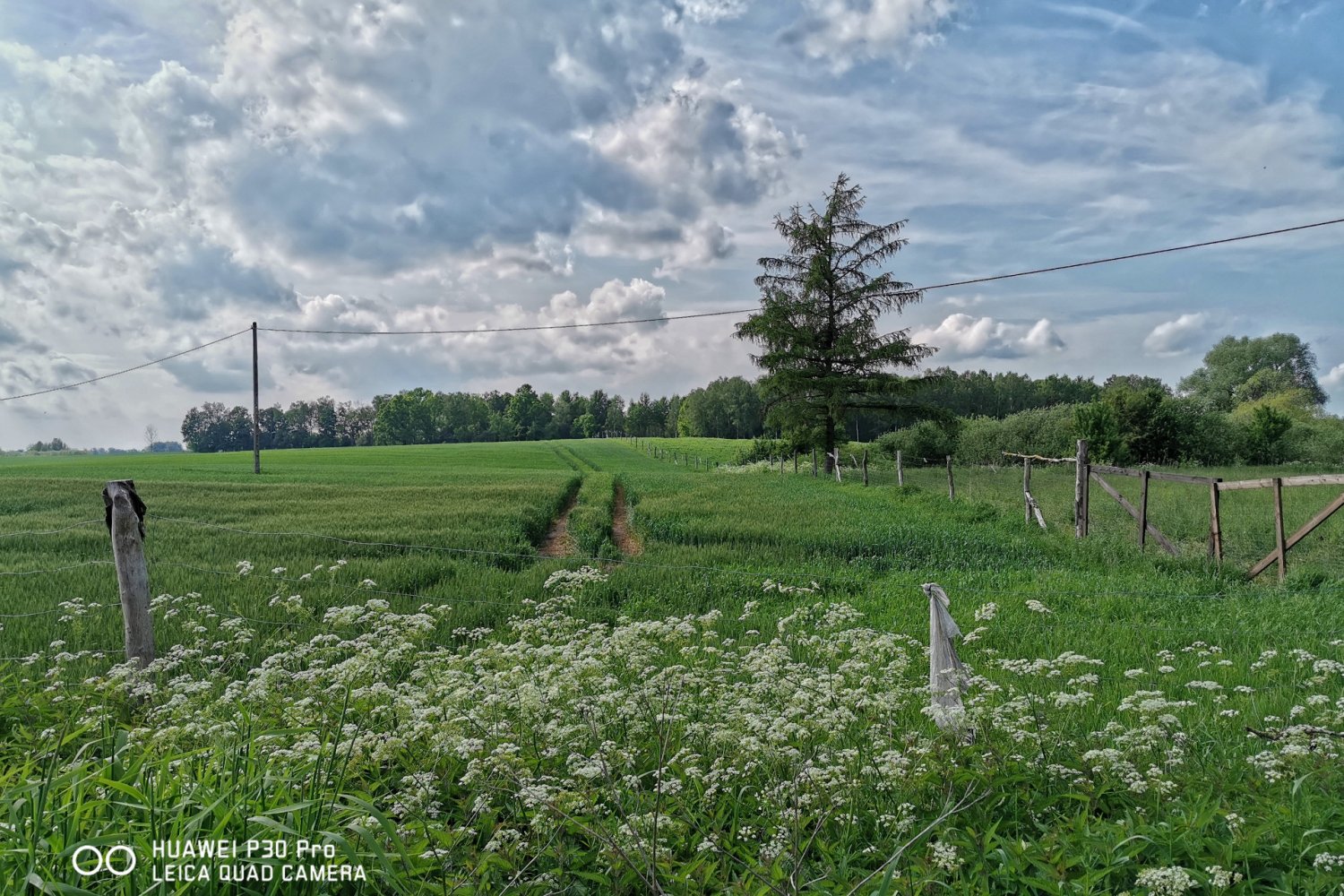 Zdjęcie wykonane smartfonem Huawei P30 Pro.