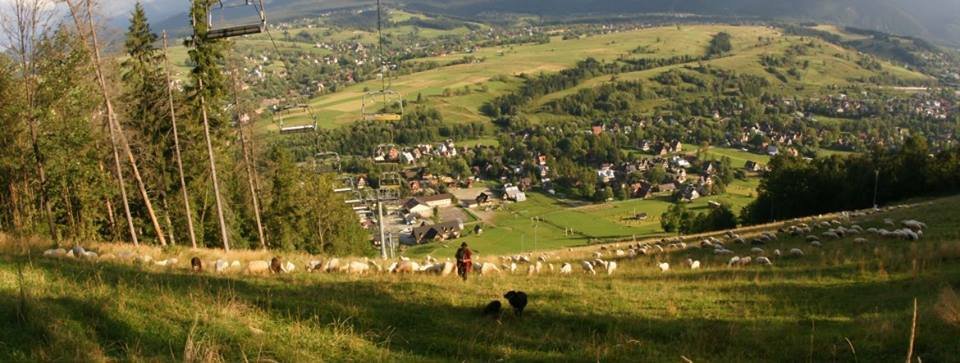 Na Harendzie mieszkałam tylko chwilkę. Teraz mam widok na to wzgórze.