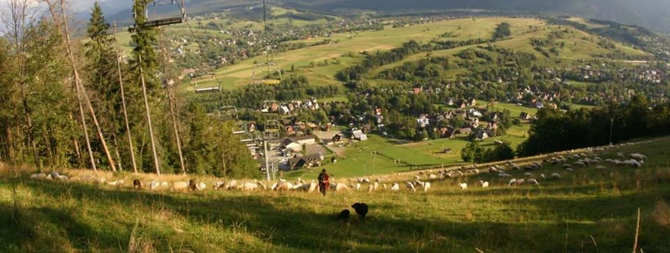 Na Harendzie mieszkałam tylko chwilkę. Teraz mam widok na to wzgórze.