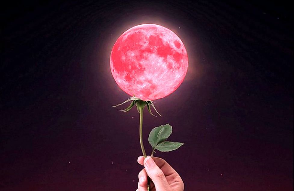 Pełnia księżyca 2021. Superksiężyc w kwietniu — kiedy będzie Różowa Pełnia?