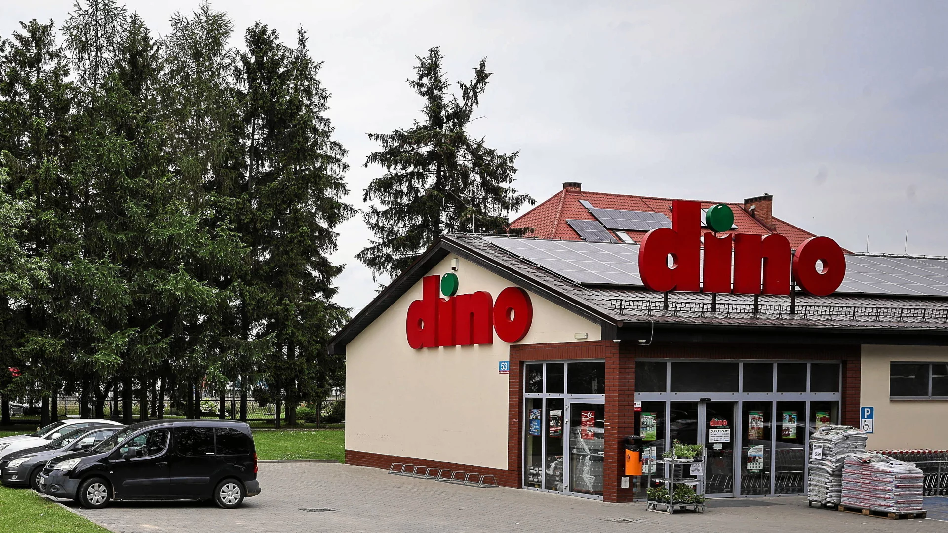 Polacy od 8 października oblegają Dino. Ma megapromocję na najbliższe święto