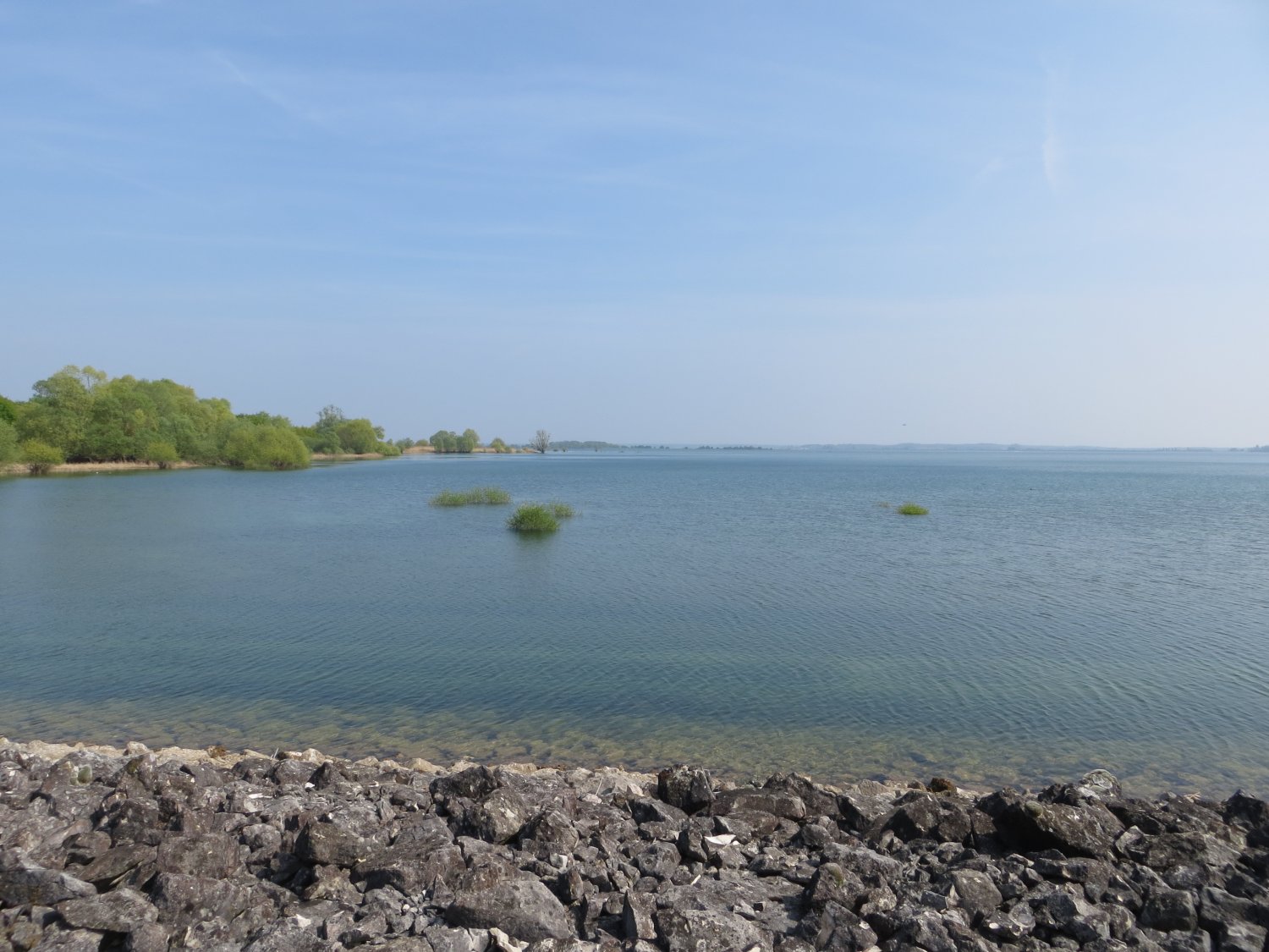 Lac du Der od strony kamienistej plaży