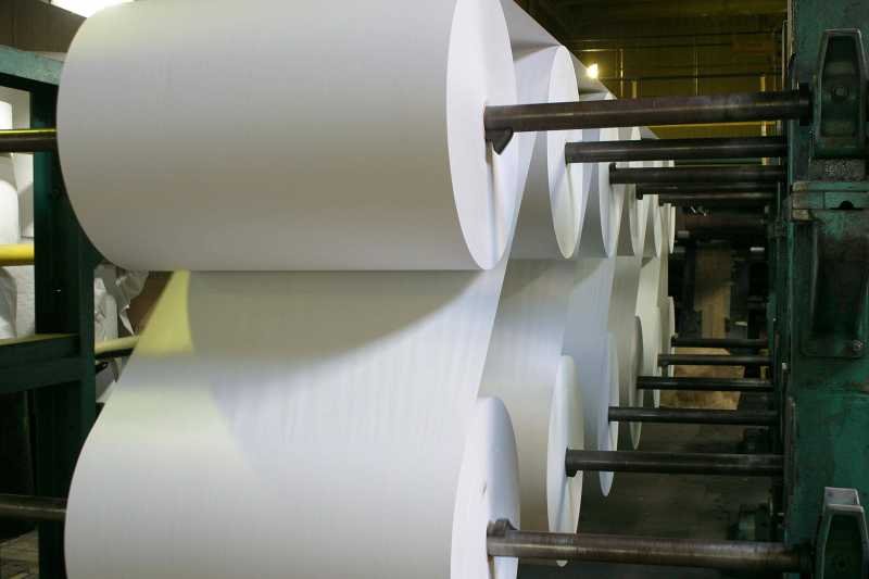 Portugalczycy stworzyli papier, który po zużyciu można zasiać.