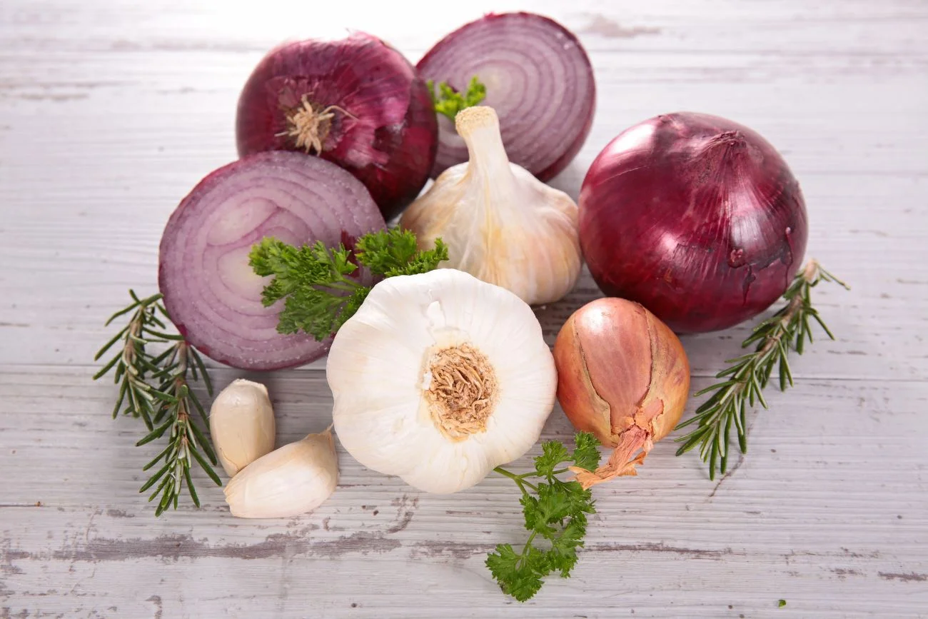 Produkty toksyczne dla psów Cebula i czosnek
