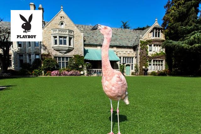 Posiadłość Playboya jest legendarna, a teraz można ją kupić