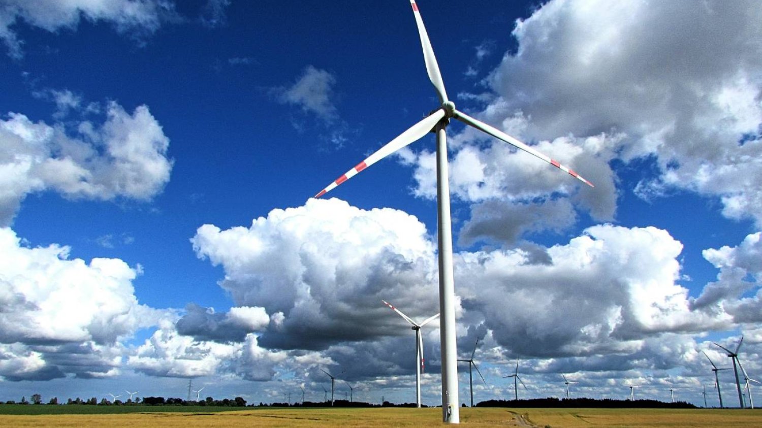 Transformacja energetyczna. Jak daleko zaszły Niemcy?