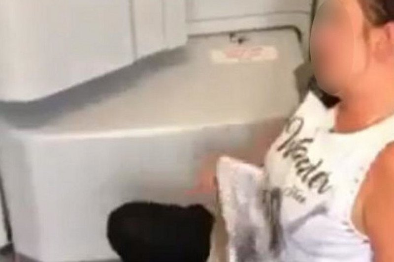 Polka sika w samolocie – film w sieci