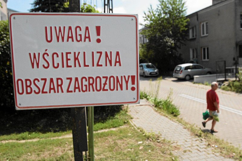 Wścieklizna nadal jest realnym zagrożeniem